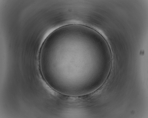 X0000093151056200709261441