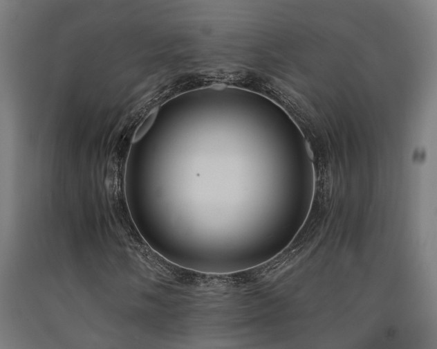 X0000093151058200709261440