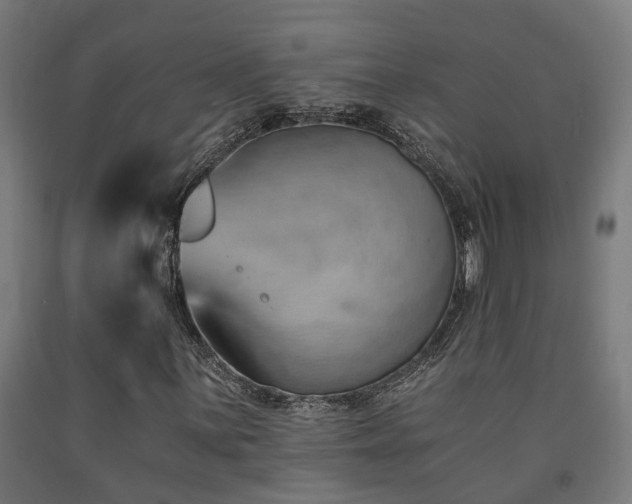 X0000093151059200709261440