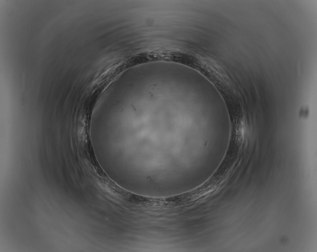 X0000093151060200709261440
