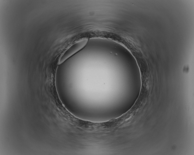 X0000093151061200709261440
