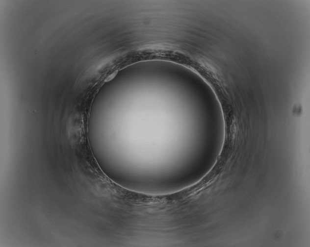 X0000093151062200709261440