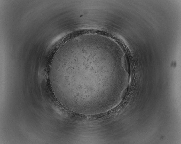 X0000093151064200709261440