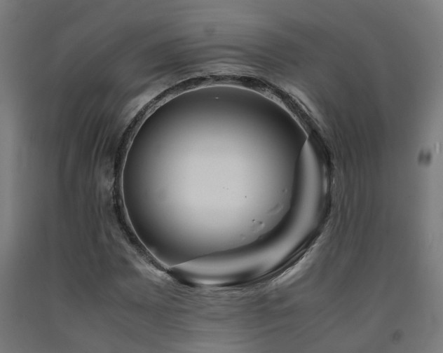 X0000093151065200709261440
