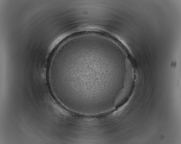 X0000093151066200709261440