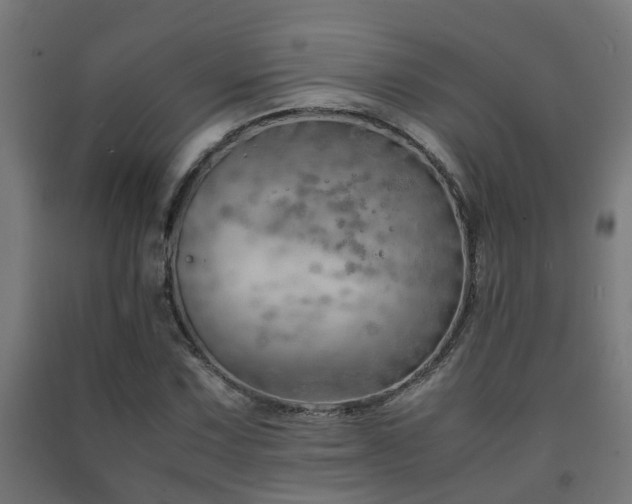 X0000093151067200709261440