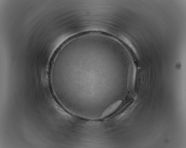 X0000093151068200709261440