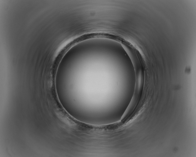 X0000093151069200709261440