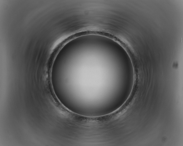 X0000093151070200709261440