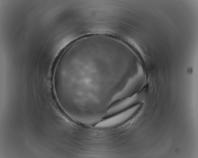 X0000093151071200709261440