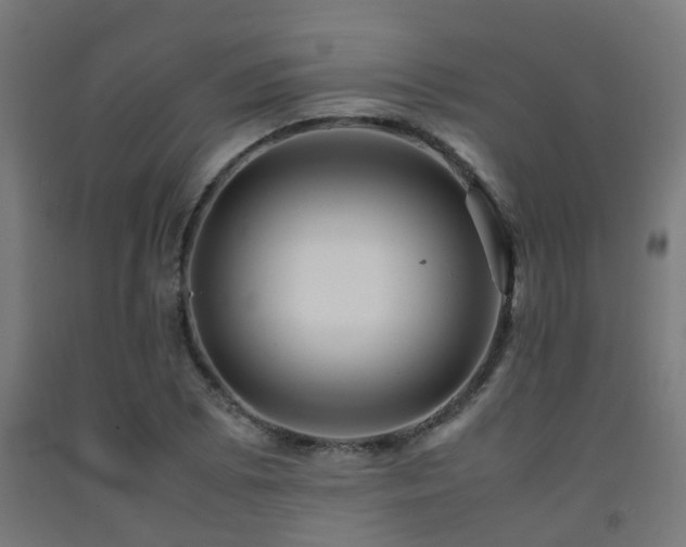 X0000093151073200709261440