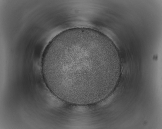 X0000093151074200709261440