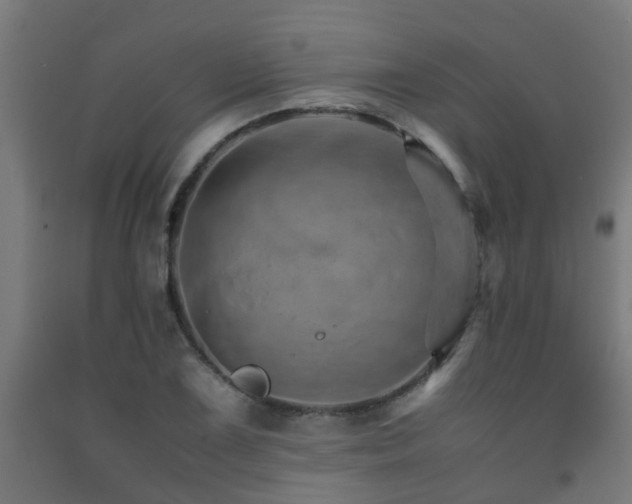 X0000093151075200709261440
