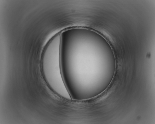 X0000093151077200709261440
