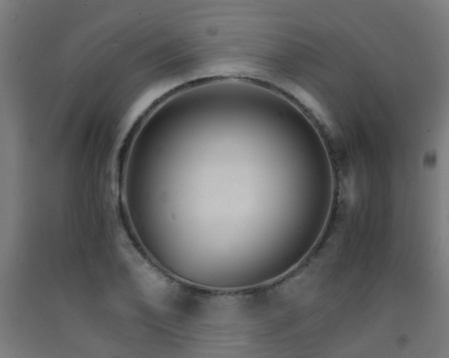 X0000093151078200709261440