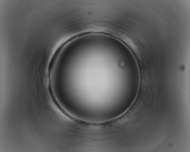 X0000093151080200709261440