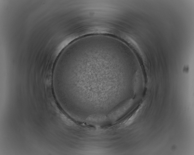 X0000093151081200709261440