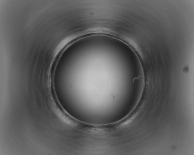 X0000093151082200709261440