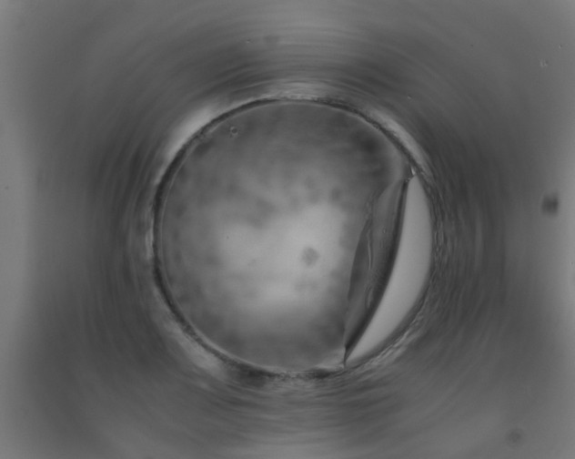 X0000093151083200709261440