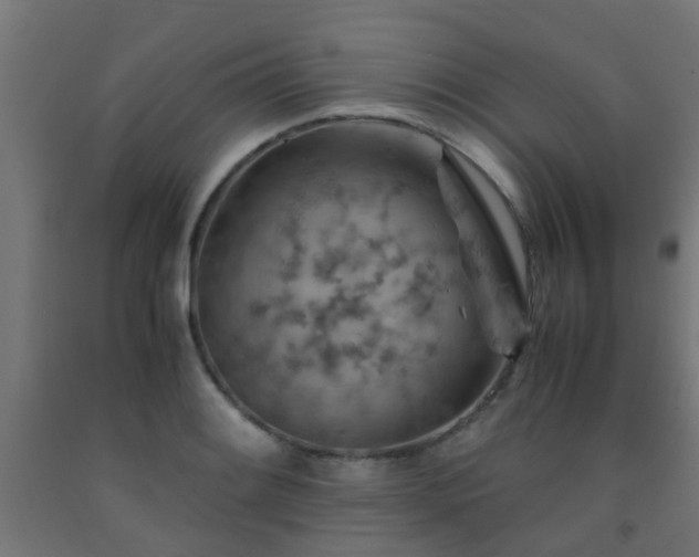 X0000093151084200709261440