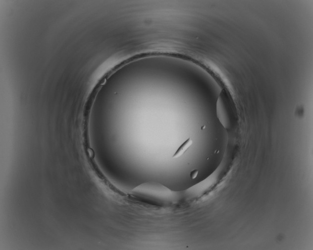 X0000093151085200709261440