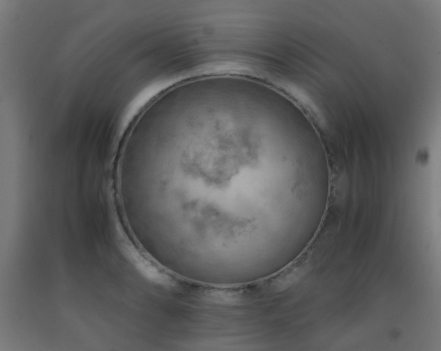 X0000093151086200709261440