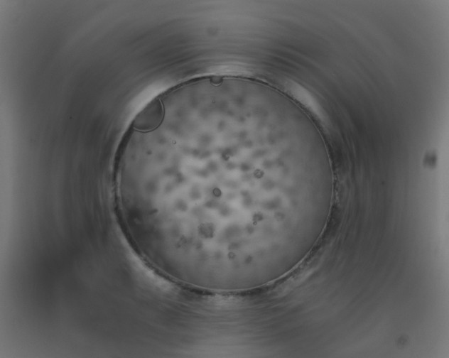 X0000093151087200709261440