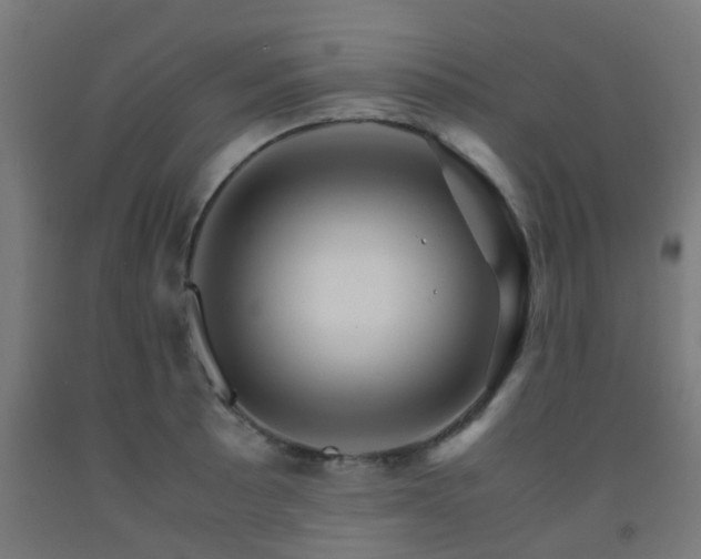 X0000093151089200709261440