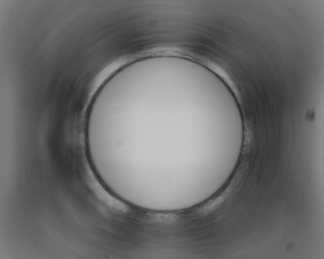 X0000093151090200709261440
