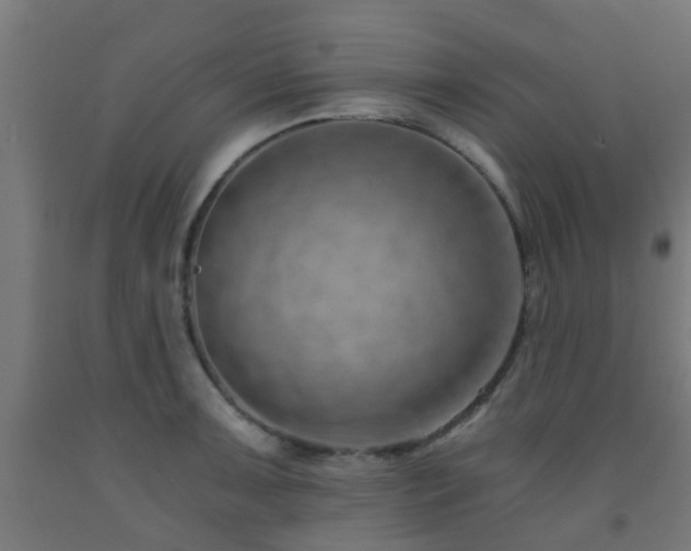 X0000093151091200709261440