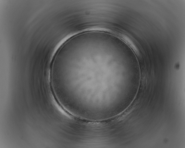 X0000093151092200709261440