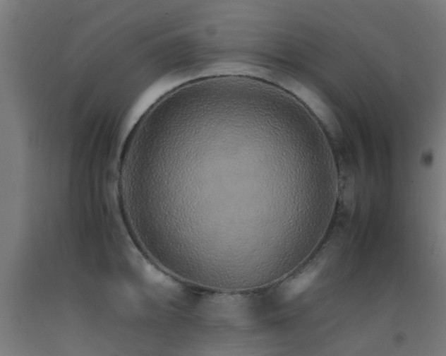 X0000093151094200709261440