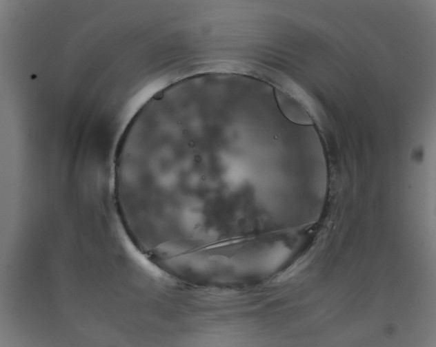 X0000093151095200709261440