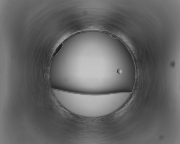 X0000093151097200709261440