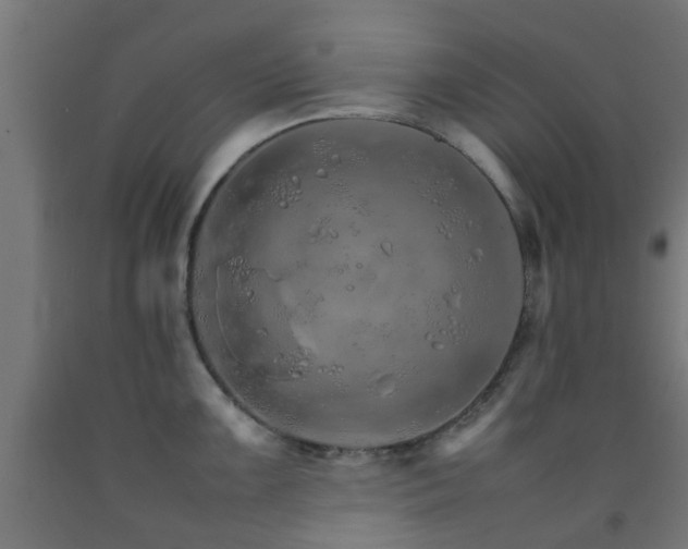 X0000093151099200709261440