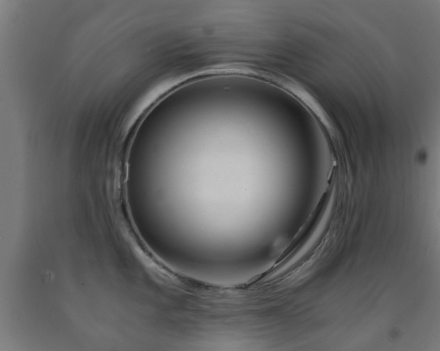 X0000093151101200709261440