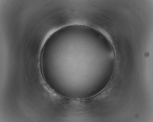 X0000093151104200709261440
