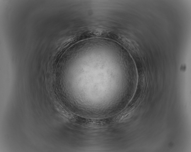 X0000093151105200709261439