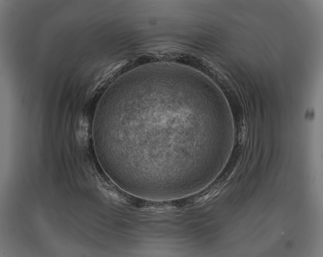 X0000093151108200709261439