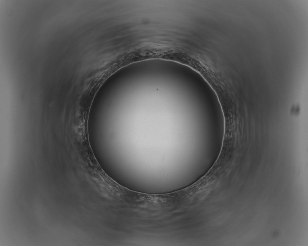 X0000093151109200709261439