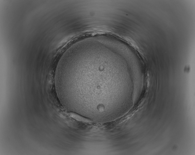 X0000093151110200709261439