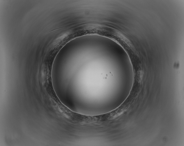 X0000093151111200709261439