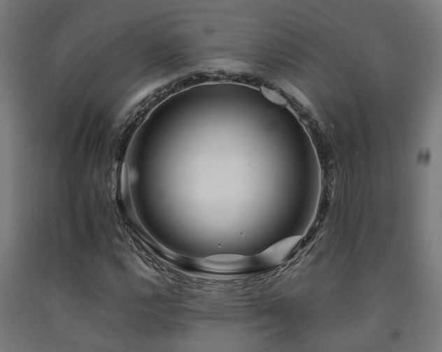 X0000093151112200709261439