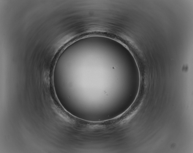 X0000093151113200709261439