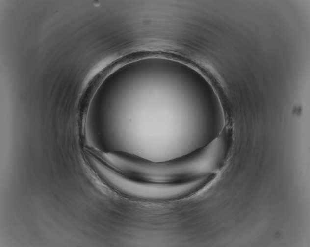 X0000093151114200709261439