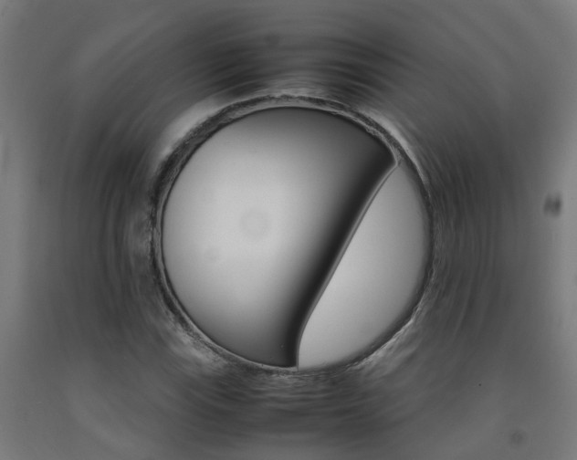 X0000093151115200709261439