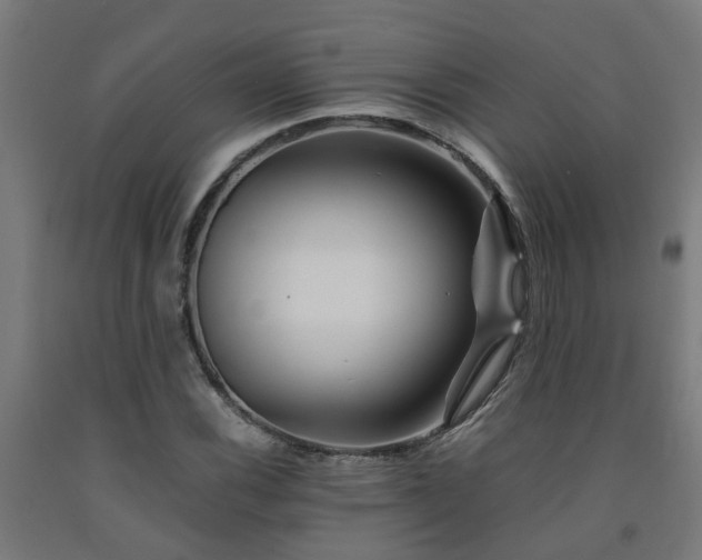 X0000093151116200709261439