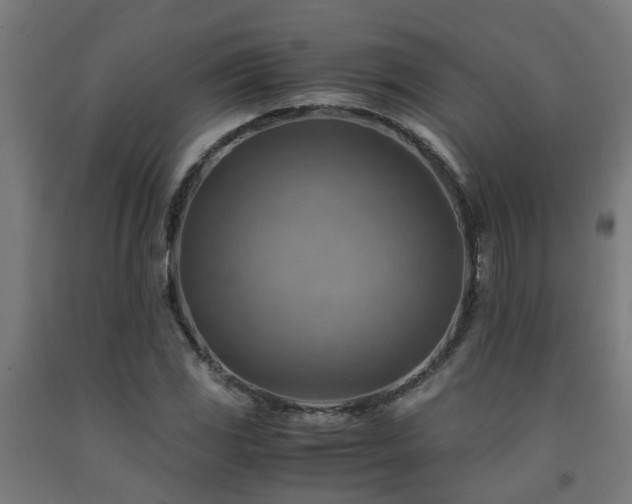 X0000093151117200709261439