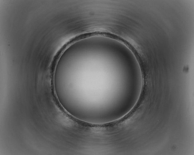 X0000093151118200709261439