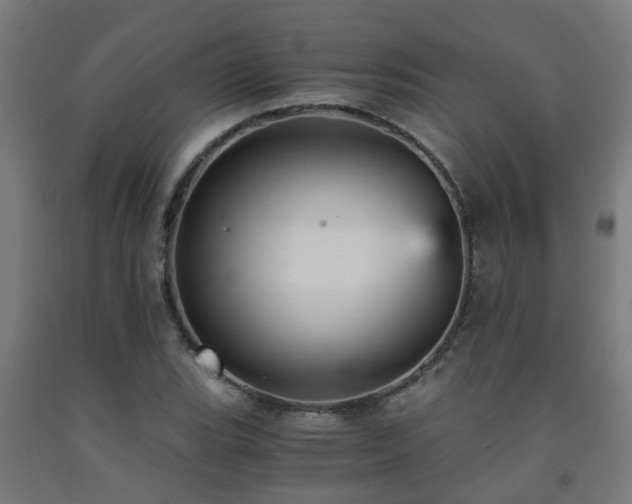 X0000093151119200709261439